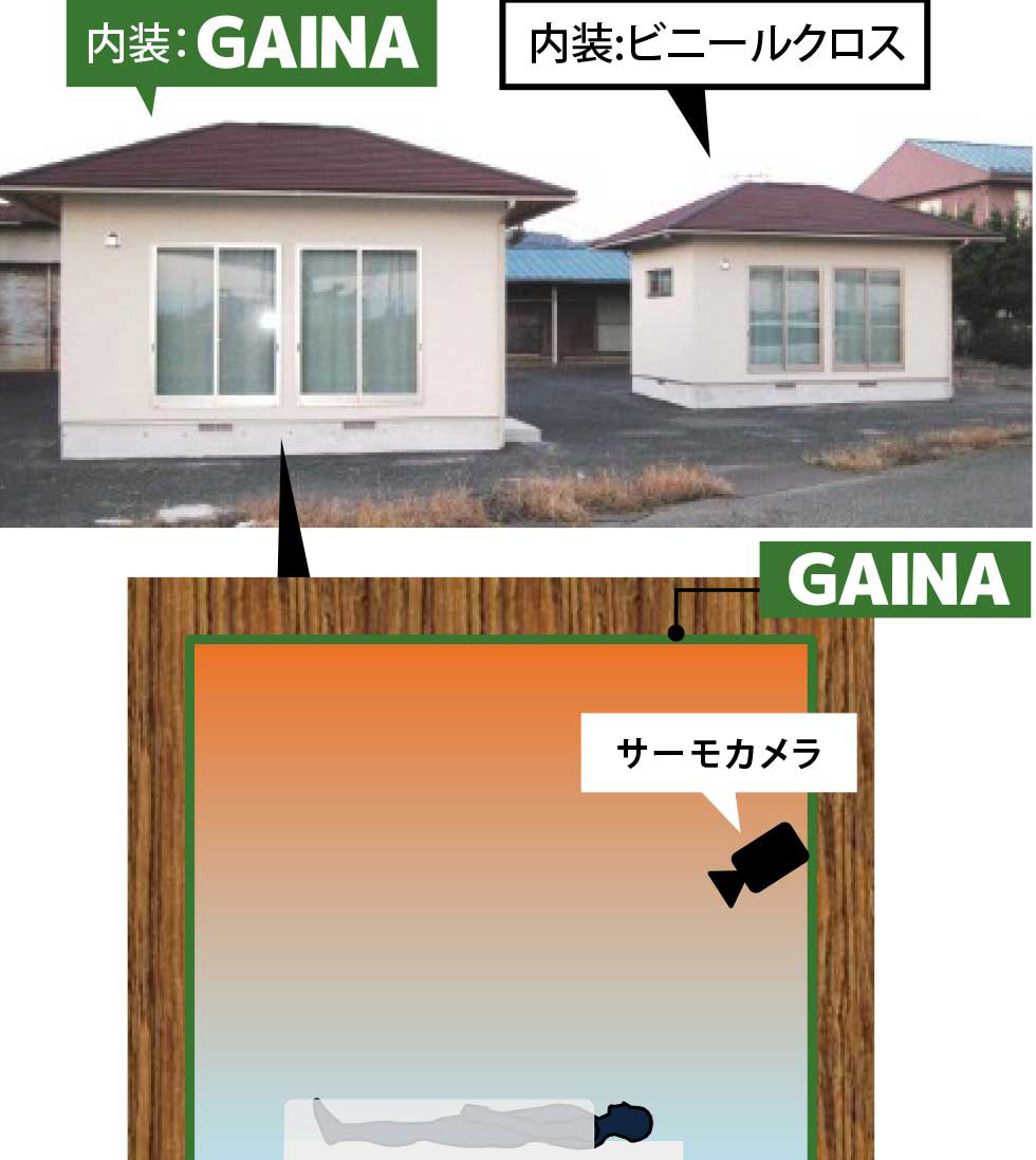 GAINA効果