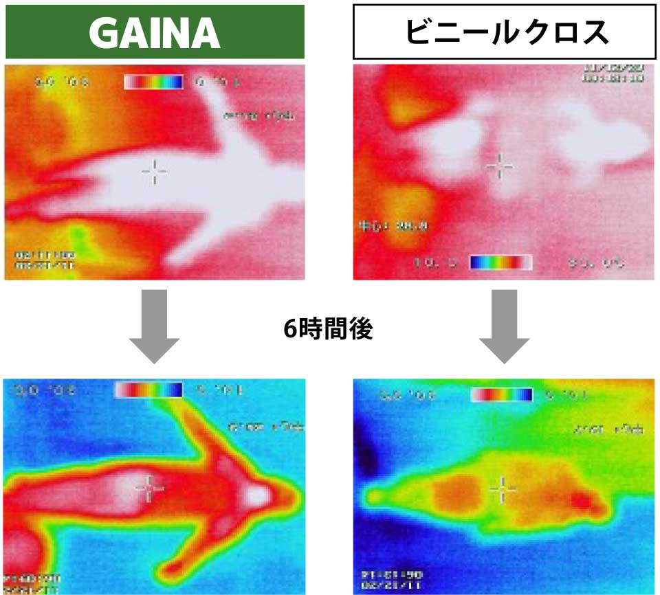 GAINA効果